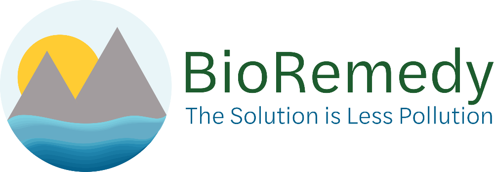 bioremedy logo of two mountains with water and the sun peaking out behind the mountains